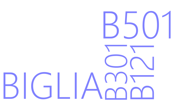 B501 BIGLIA B121 B301